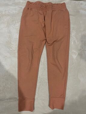 FP Movement by Free People Men's Jogger Pants - Rusty Terracotta